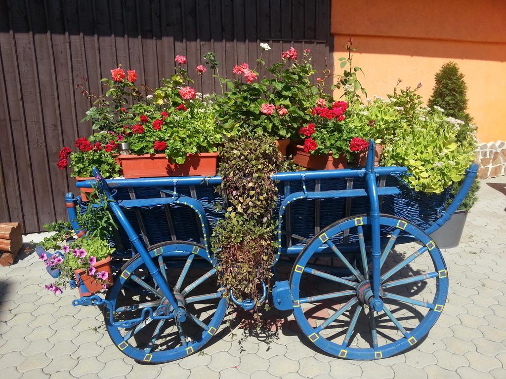 Hotel Bliss Sibiu Exterior foto